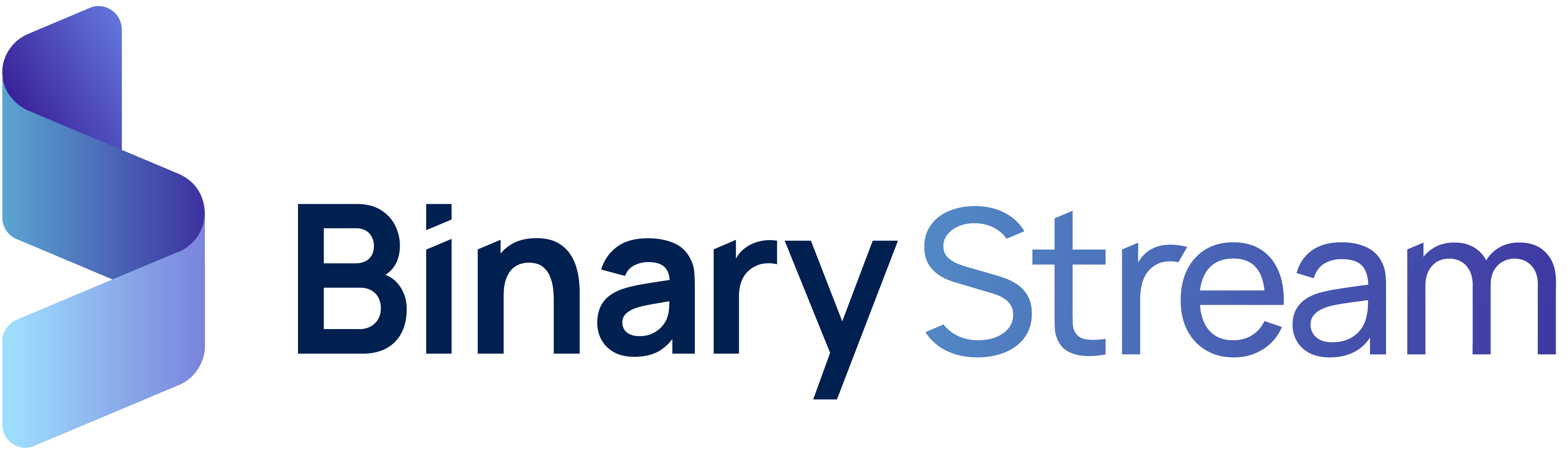 Binary Stream Logo